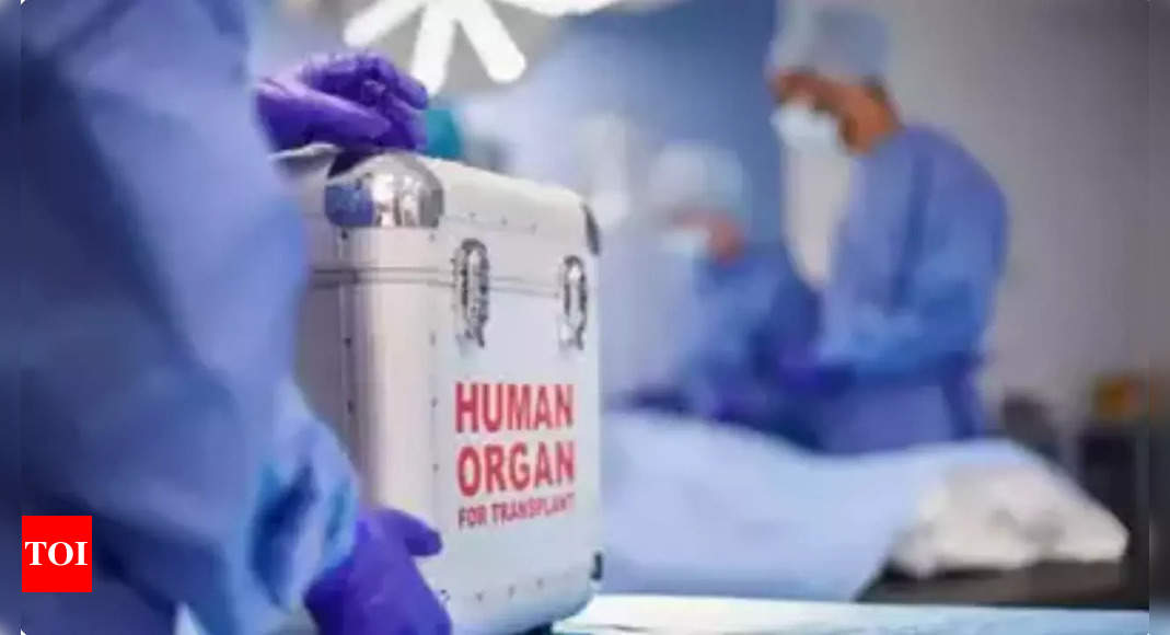 80% of organ transplants between 1995 and 2021 were on men: Government data | India News