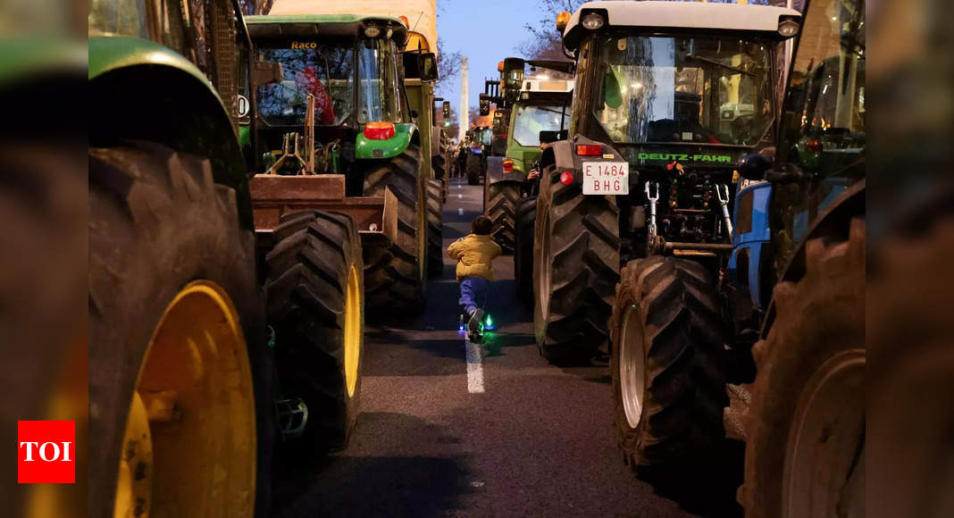UK farmers plan French-style blockades over cheap post-Brexit imports