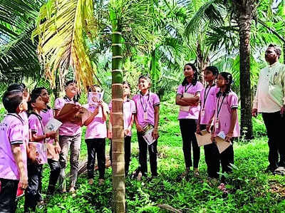 Govt school sets example by conducting classes at garden