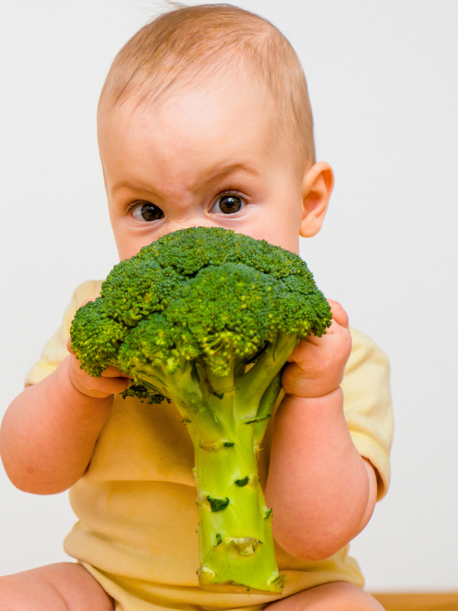 ​Broccoli benefits: 10 reasons you must consume this 'tree of life' veggie - Vimarsana News