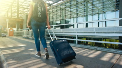 Check-in Luggage Size: Things To Consider While Buying One (April, 2024)