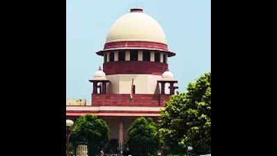 SC rejects Thakur bros’ bail in Tadoba scam