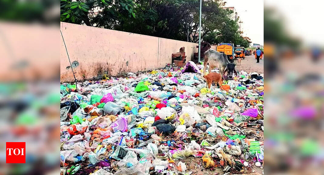 Uncleared Garbage: Uncleared Garbage Raises Concerns in Ukkadam Colony ...