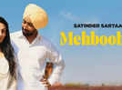 Mehboob Ji: The first song from Neeru Bajwa and Satinder Sartaaj's 'Shayar' sets the tone right for Valentine’s