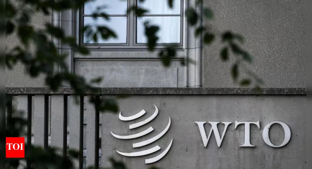 India seeks reform of WTO dispute system – Times of India
