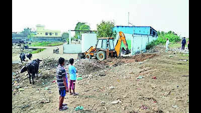 Carcasses raise a stink at dairy complexes as illegal dumping ground near Satluj sealed