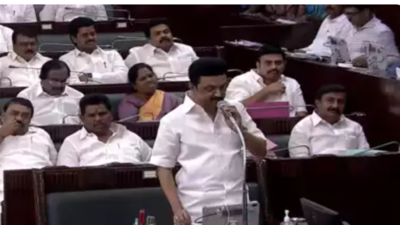 Tamil Nadu News: TN Assembly Adopts Resolution Against One Nation, One ...