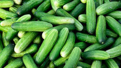 Kyuri to Kirby: 6 Cucumber varieties you need to know