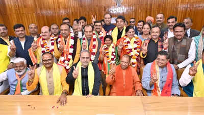 RS polls: 7 BJP nominees file papers; party may surprise with 8th candidate