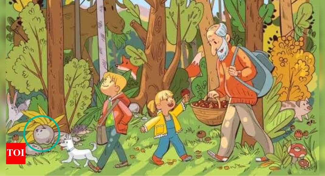 Optical Illusion Find the Hidden Apple in the Forest and Test Your