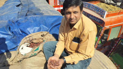 Nashik FDA seizes adulterated betel nuts worth over Rs 3.8 crore