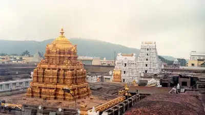 Ratha Saptami 2024 in Tirumala: Darshan Timings, Puja Rituals and how it is celebrated?