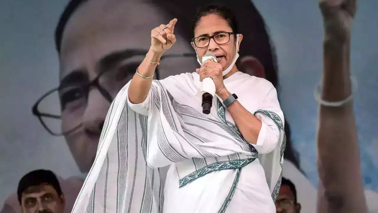 Sandeshkhali violence: CM Mamata Banerjee links unrest to 'RSS', says 'Will  address but need to know the matter to act' | India News - Times of India