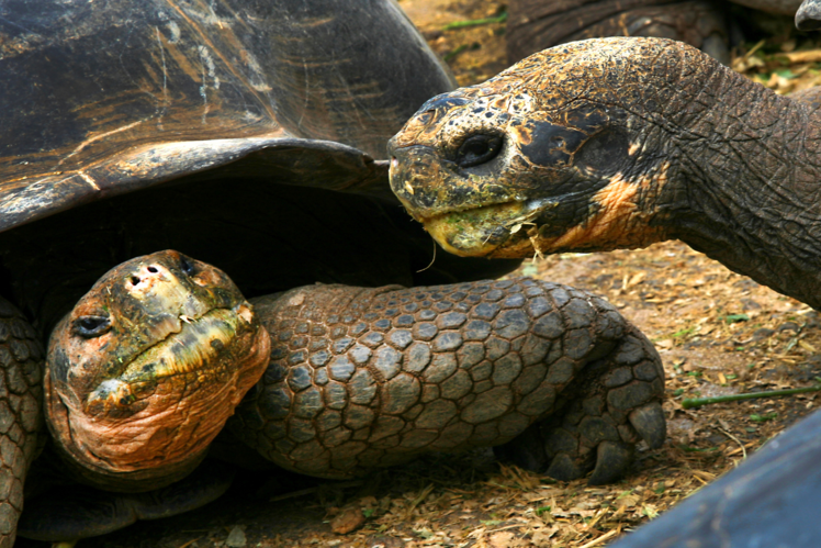 Gal&aacute;pagos National Park, Ecuador