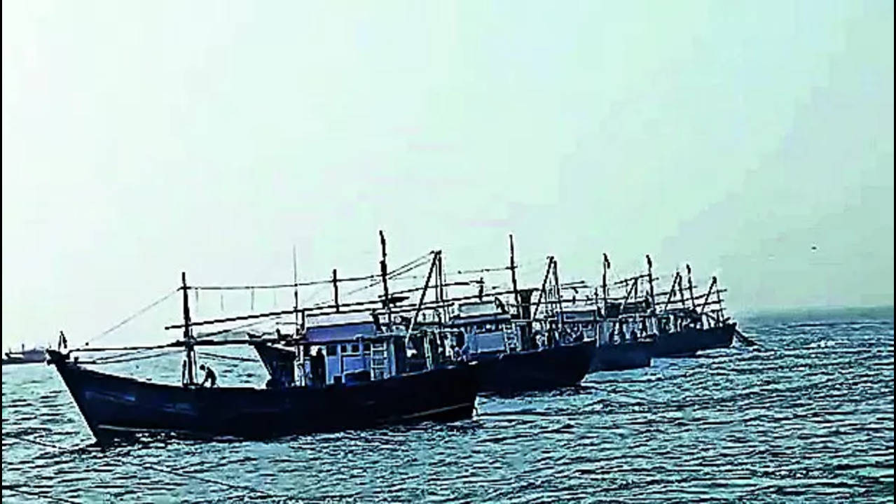 Fishermen got Rs 40 lakh in 3 years for releasing marine life from net