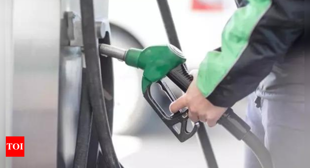 Pakistan caretaker govt hikes petrol price by PKR 2.73 per litre | World News – Times of India