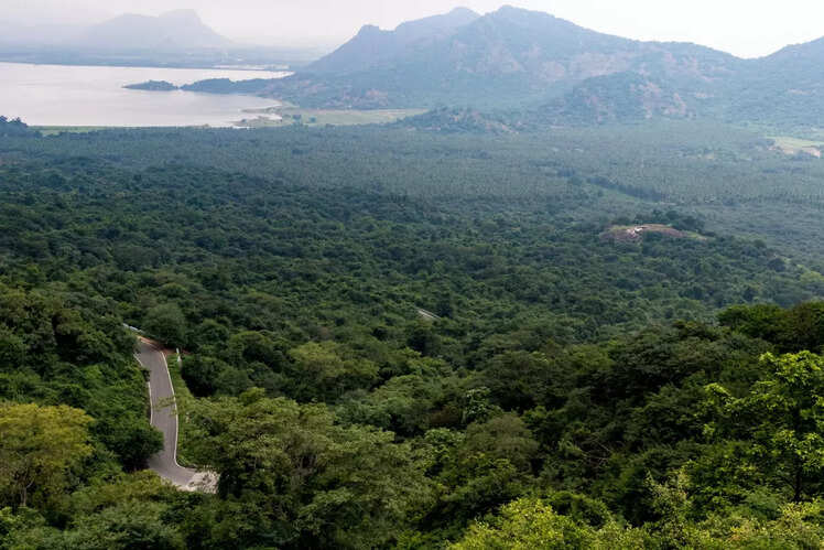 Tamil Nadu