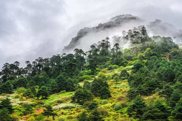 Arunachal Pradesh
