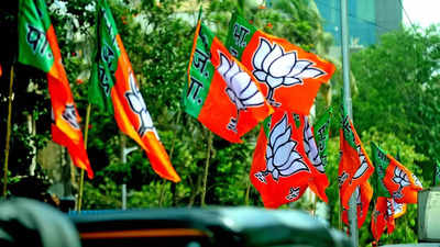 BJP candidates file RS nominations