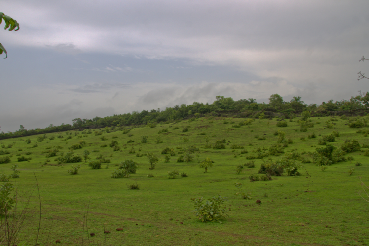 Mangaluru