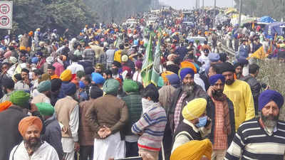 Farm stir not peaceful, armed protesters may gherao Parliament: Haryana in High Court