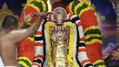 Thousands of devotees take part in Radhasapthami festivities at Tirumala