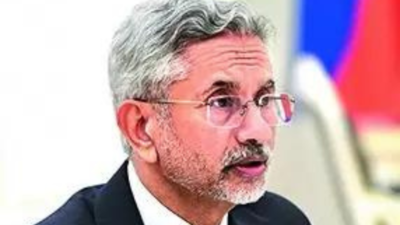EAM Jaishankar holds bilateral meetings with US' Blinken and UK's Cameron among others