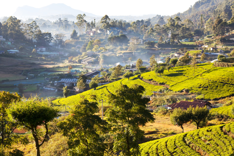 Sri Lanka