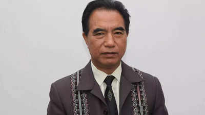 Leave Mizoram out of Myanmar border fencing plan: CM Lalduhoma