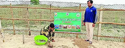 Olive Ridley Eggs: Hatcheries set up at 3 Gahirmatha sites to protect ...