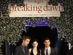 'Twilight Breaking Dawn Part 1'