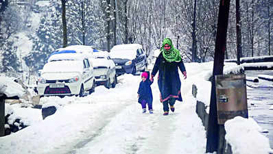 Fresh snowfall in Kashmir leads to drop in temperatures