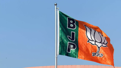 BJP empowers parliamentary board to decide party president term