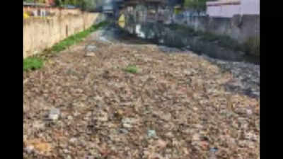 Buckingham Canal remains choked with garbage, sewage