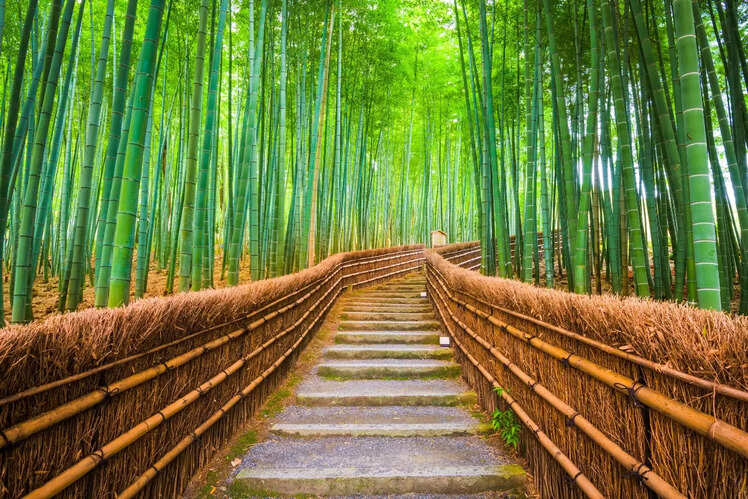 Kyoto, Japan