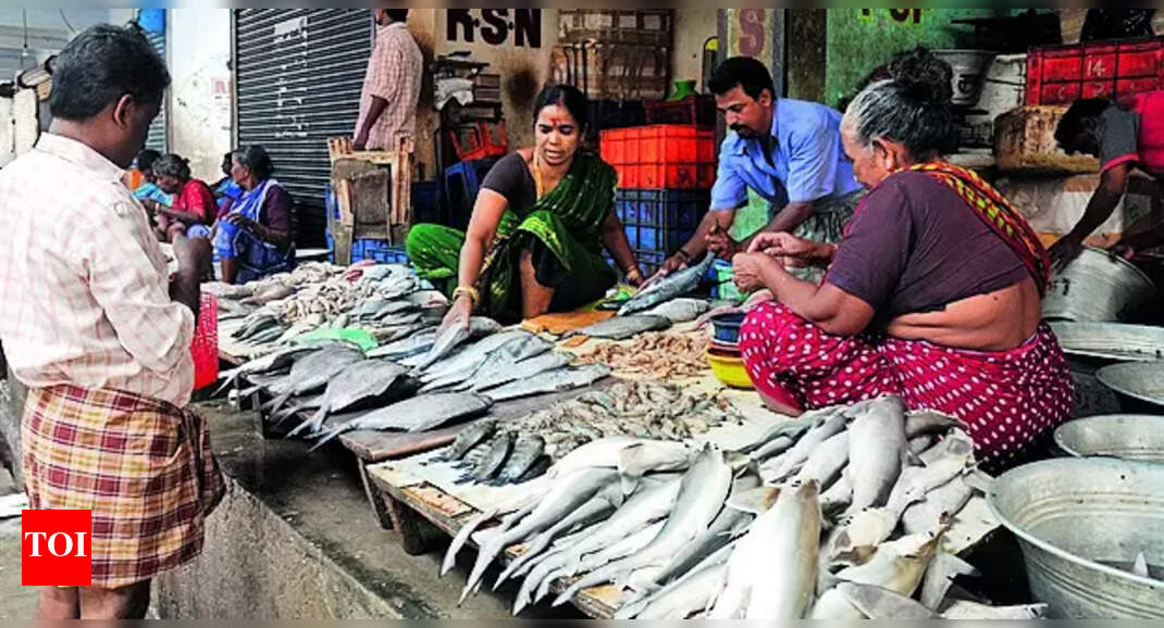 Modern Fish Market Modern fish market in Chintadripet likely to be