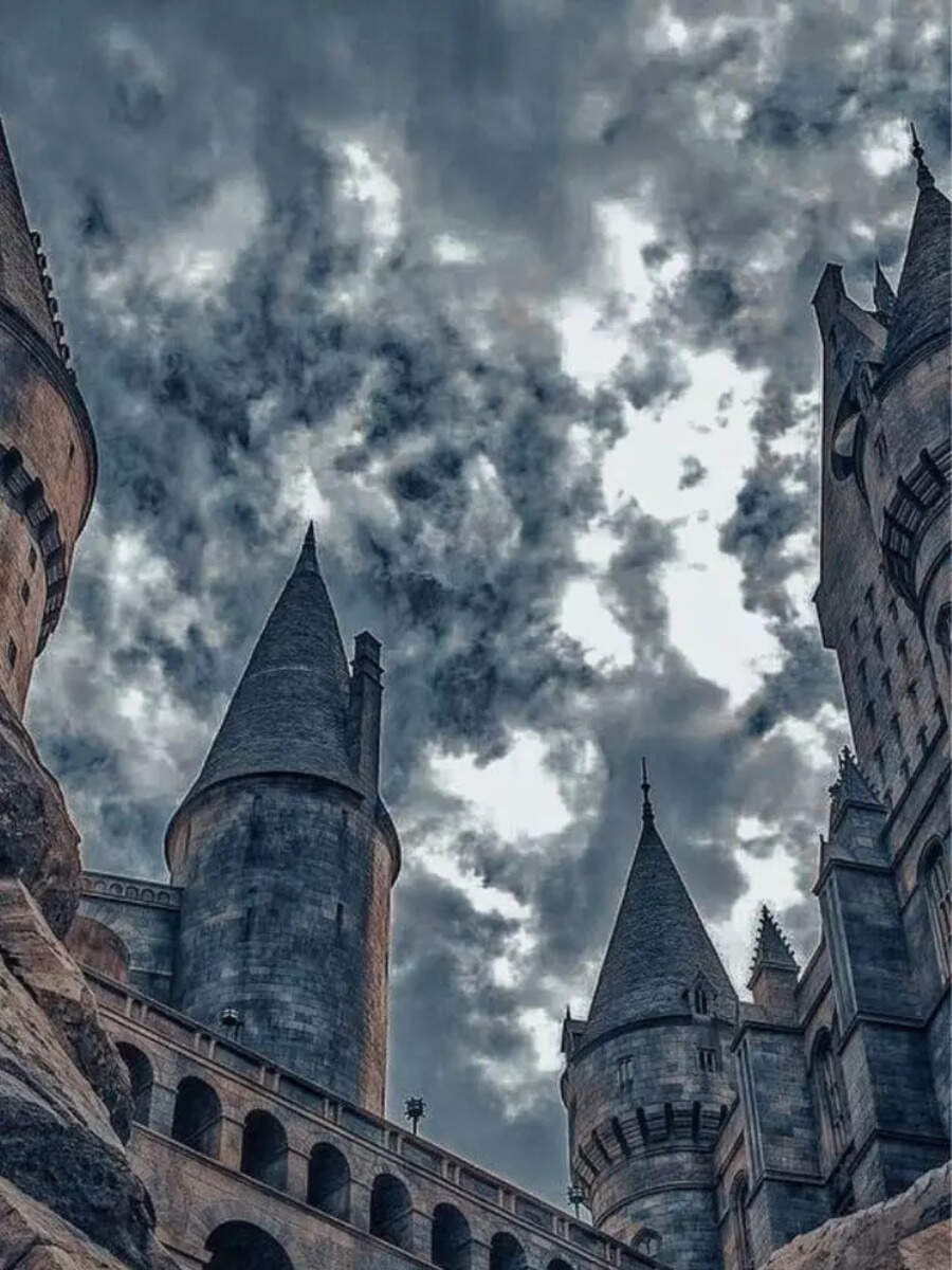 10 'Harry Potter' characters we all HATED (including Dumbledore) - Vimarsana News
