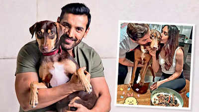 John Abraham and Priya Abraham: We met Bailey and it was love at first sight