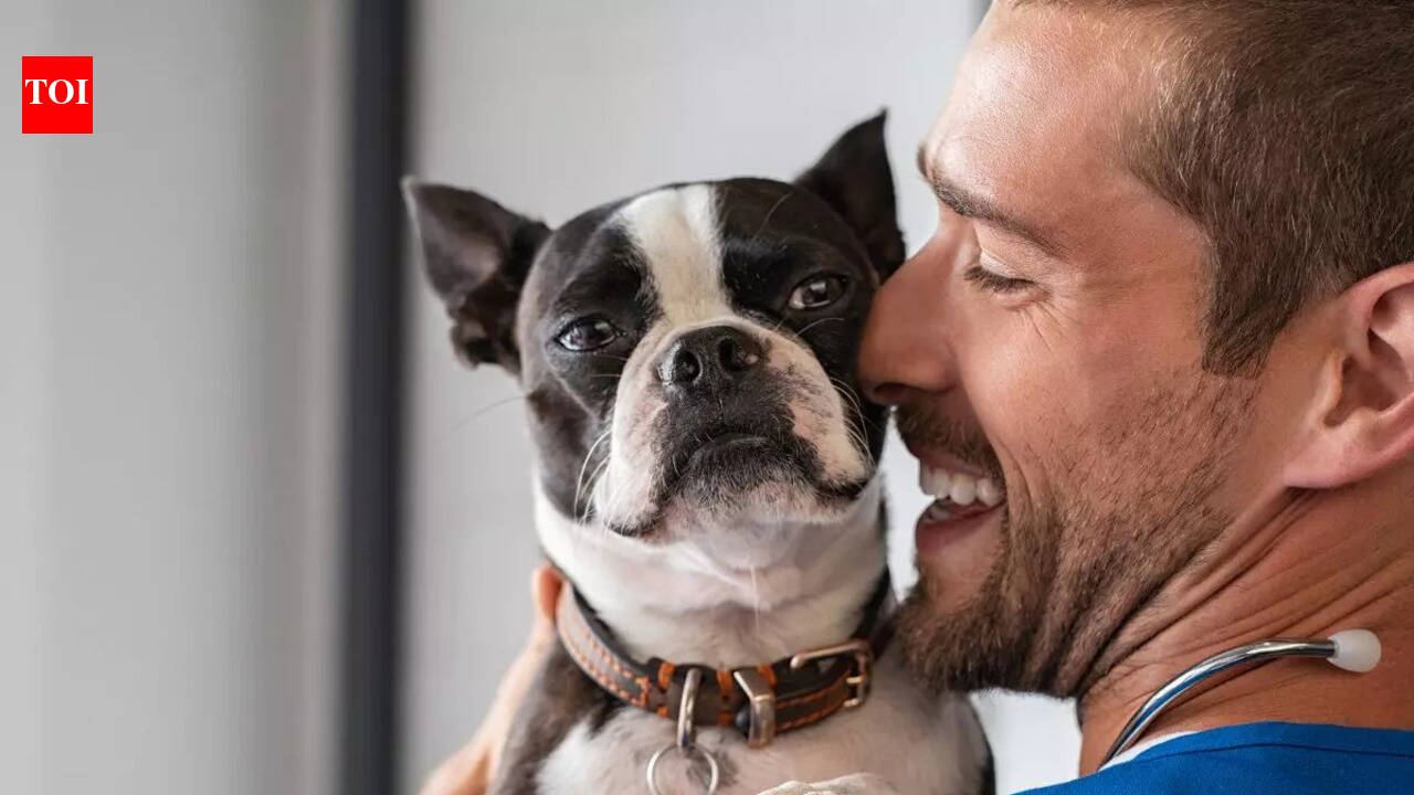 7 things to know before getting a pet dog