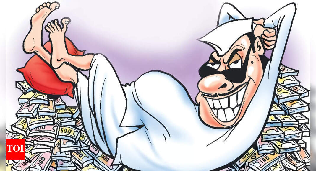 elections-need-money-but-also-protection-from-money-india-news