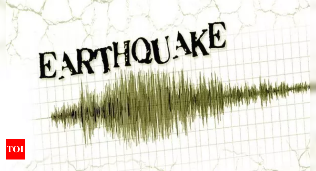 Ladakh earthquake: 5.2 magnitude earthquake hits Kargil in Ladakh |  India News