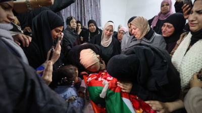 More than 29,000 Palestinians killed in Israel-Hamas war