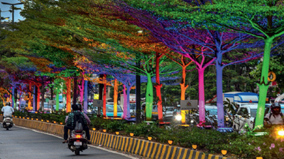 BMC gets legal notice over wrapping trees with lights