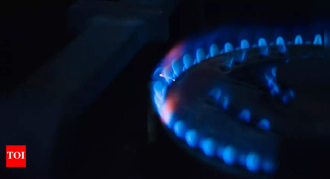 Comparison of Gas Stove with Electric Stove Times of India