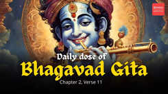 Transcending Grief: Krishna's Divine Message in Bhagavad Gita's Chapter 2, Verse 11