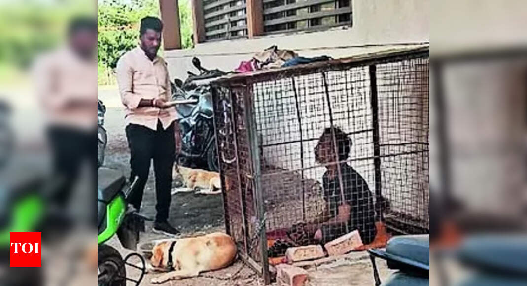 Man Kept In Kennel Man kept in kennel for 5 hours over alleged theft Hubballi News Times of