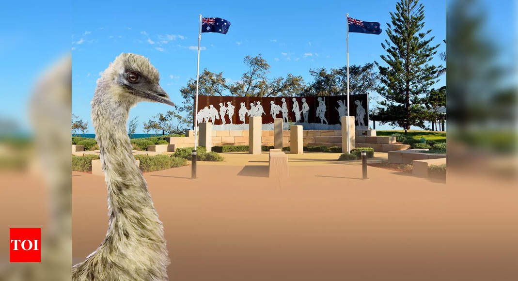 Emu War: When Australian Army soldiers fought giant birds with machine ...