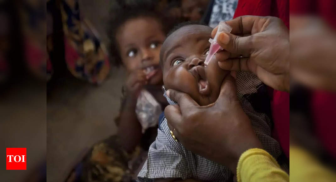 Le Zimbabwe lance une campagne de vaccination d'urgence contre la polio après avoir détecté des cas causés par une mutation rare |  Nouvelles du monde