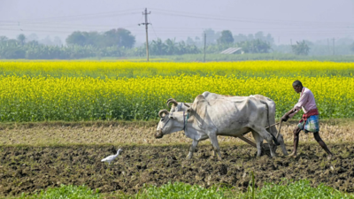 AI helps predict how agricultural land suitability may change by 2050