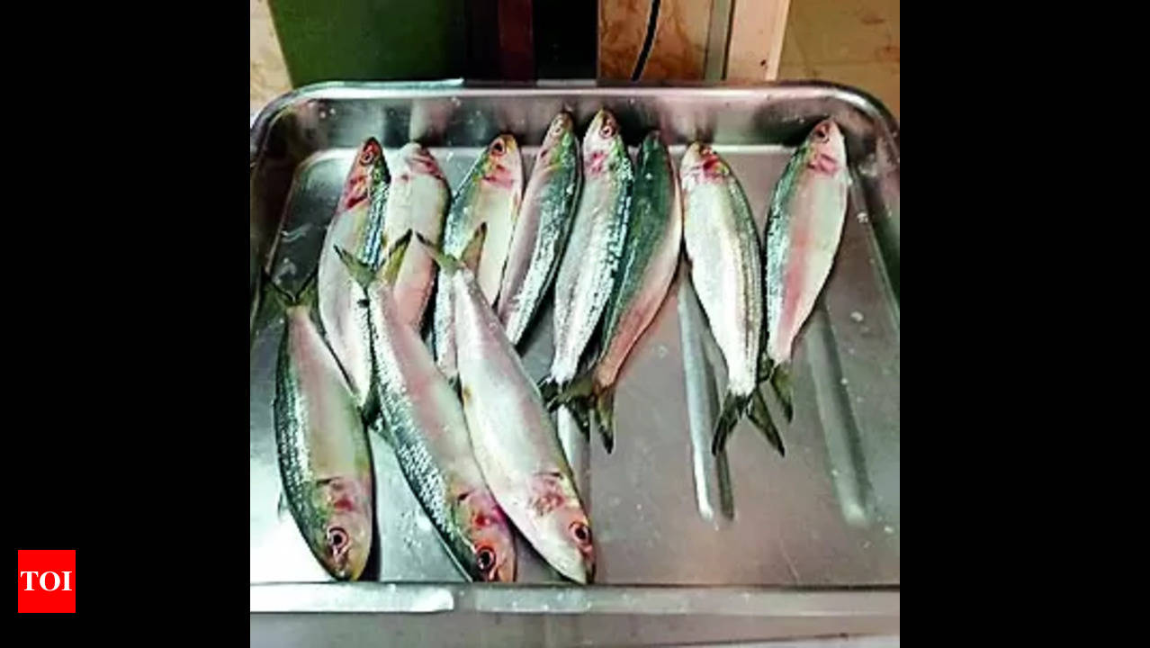 White Fishing Lure, Size: 6 Inches at Rs 200/piece in Mumbai